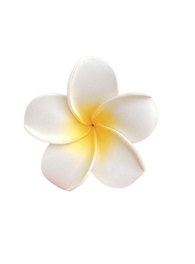 金花银叠鸡蛋花发夹女侧边