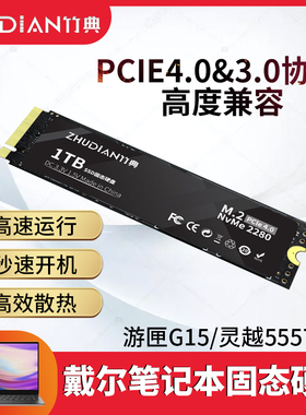 适用戴尔笔记本固态硬盘1T游戏本PCie3.0灵越16Pro游匣G15电脑ssd
