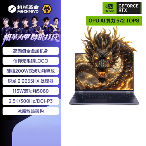 机械革命苍龙16Pro电竞游戏本