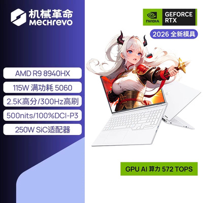 机械革命蛟龙16Pro游戏本