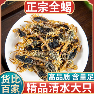 十足全干全蝎中药材全蝎无盐清水蝎子全虫蝎子蒙沂包邮干度可打粉