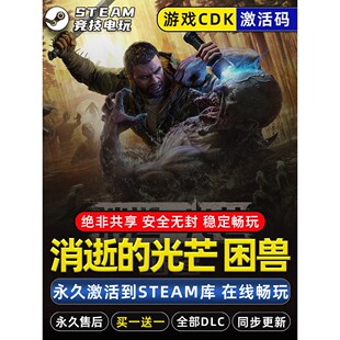 永久入库 消逝 CDK STEAM游戏全球区激活码 全dlc包更新 光芒困兽