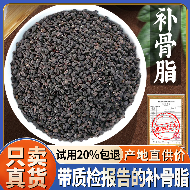 补骨脂500g克新货补骨脂破故纸补骨脂黑故子婆固脂非中药材