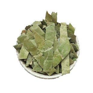 枇杷叶500g枇杷叶新鲜生枇杷叶干货可炙枇杷叶非中药材