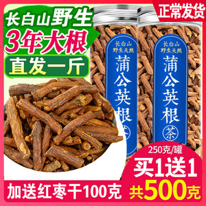 蒲公英根茶长白山干浦公英正品官方不特级旗舰店新茶非中药材野生
