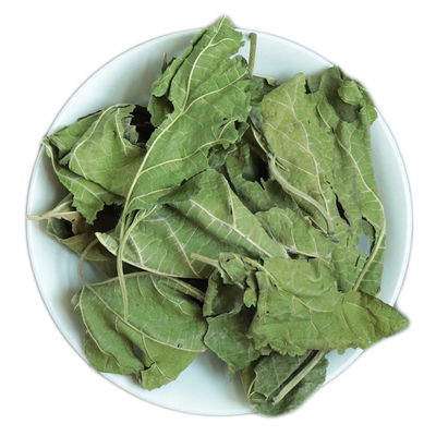 【试用20%包退】桑叶500克