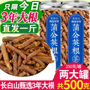 蒲公英根茶长白山浦公英根干正品 官方不特级旗舰店非中药材不野生