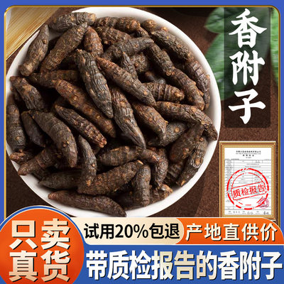 【试吃20%包退】香附子500克