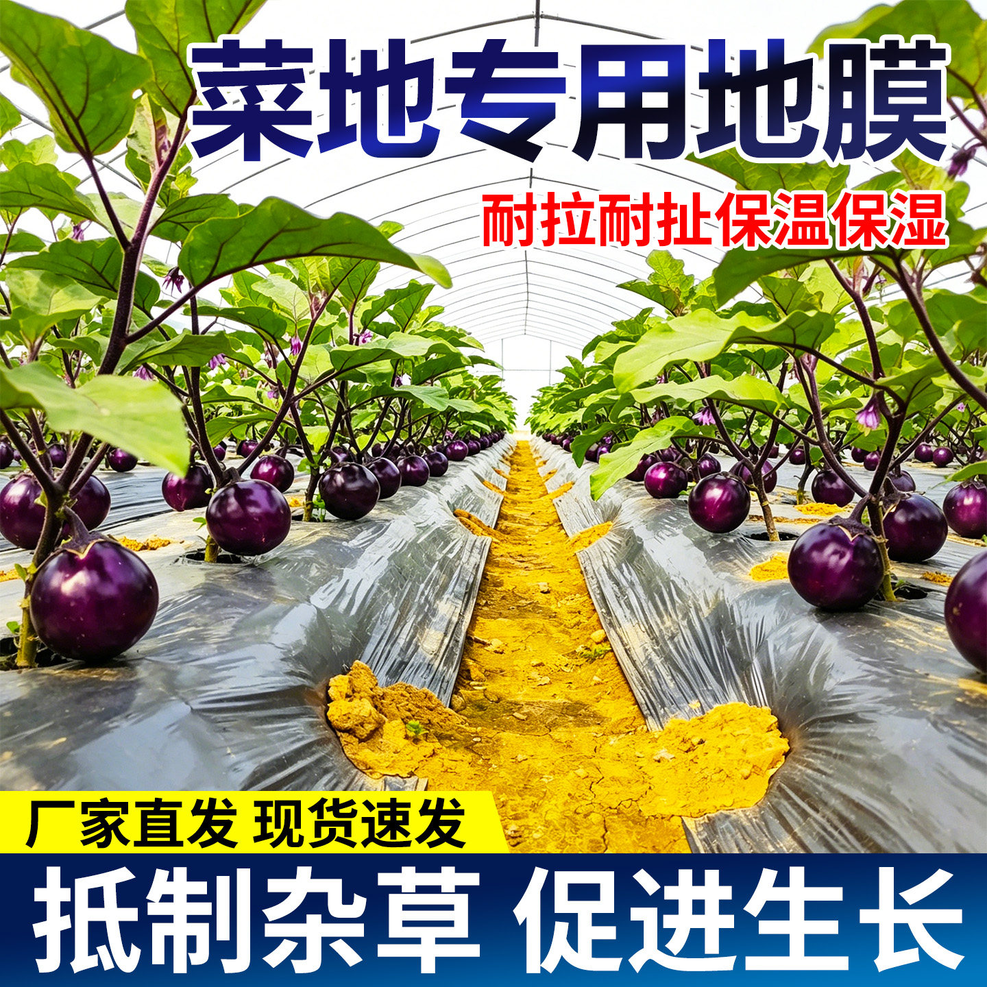 菜地专用地膜银黑双色反光除草地膜果树园保温薄膜种植膜防虫除草
