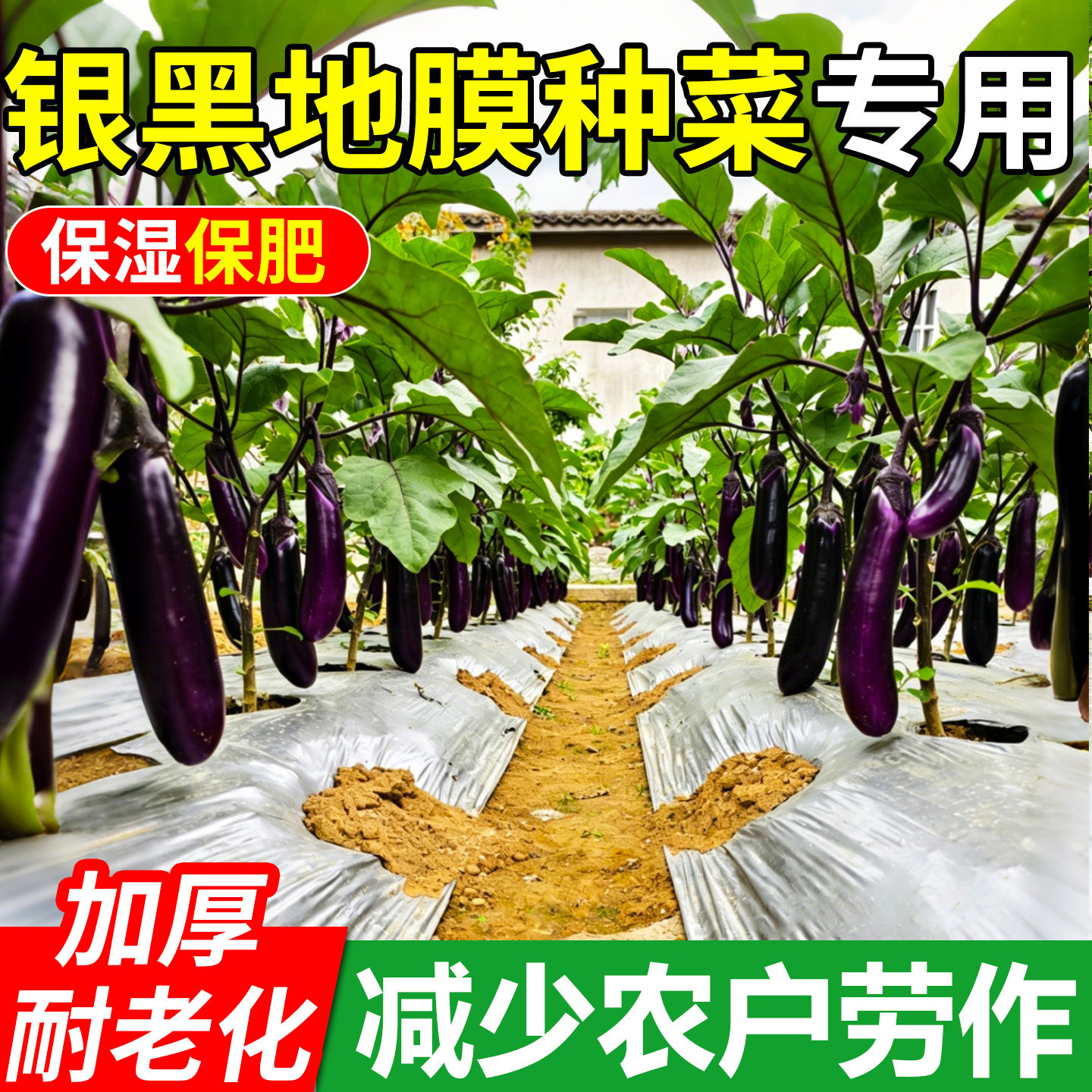 银黑色地膜种菜专用薄膜防虫反光银黑地膜农用蔬菜塑料薄膜抗老化