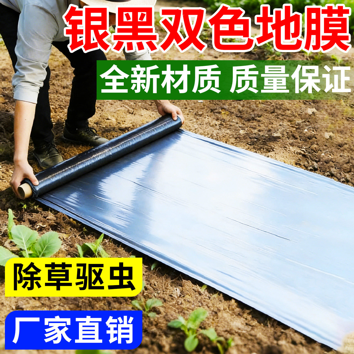 银黑双色地膜农用种植地膜种菜专用反光加厚防长草蔬菜黑塑料薄膜