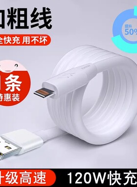 台纪适用于苹果数据线120W加粗神龙线13超级快充USB手机充电线加粗12Pro机客线低温充电不弹窗14不伤机