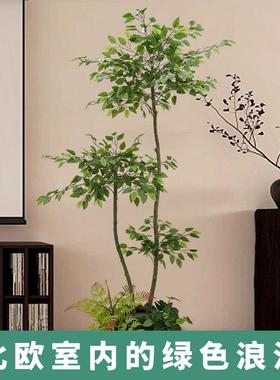 仿真绿植盆栽塑料幸福树小盆景家居摆设假植物摆件装饰品绿色假花