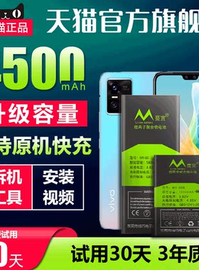 适用于VIVO手机电池全新原装适用S10Pro/S10E/S9/S7/S6/S12/U1/U3Xplay6