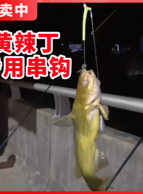 黄辣丁昂刺鲫鱼专用串钩线组防缠昂公昂刺黄骨鱼海竿抛杆路亚套装