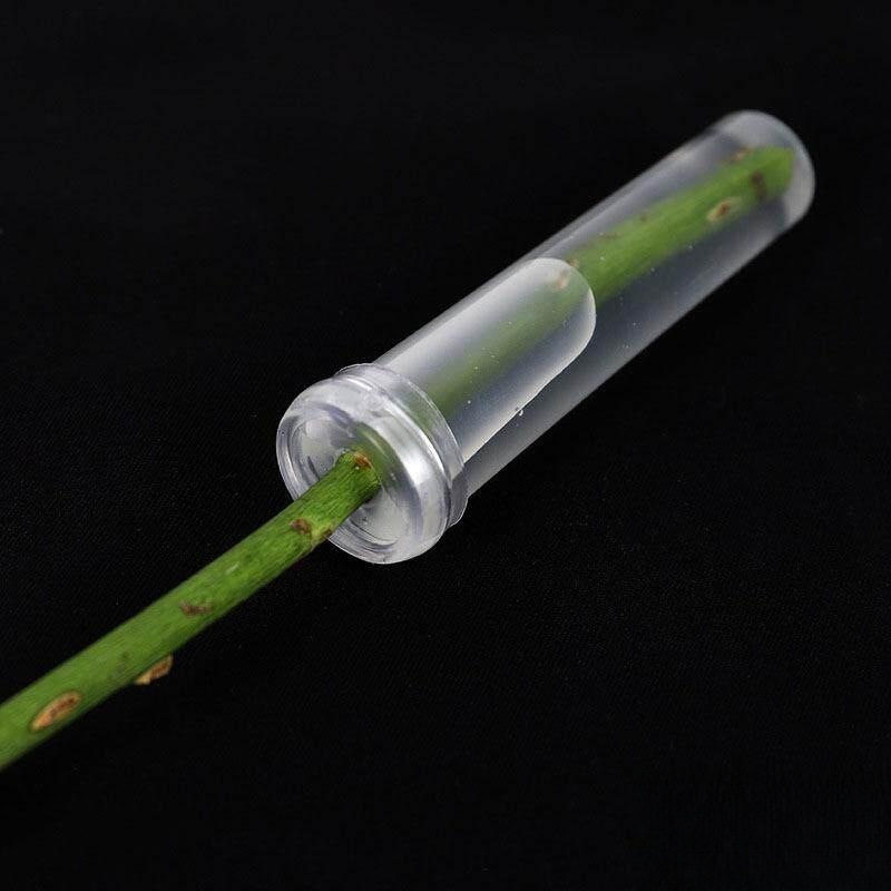 新款管保模具储存装置推推鲜花液管用品推杯加热保水管吸水培养 - 实物图