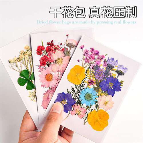 时间的礼物|植物标本调色盘美术生小众礼品伴手礼婚礼拍摄道具