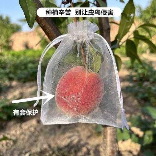 尼龙水果果树防鸟种子袋子网袋防虫晾晒腊肉葡萄火龙果装蛇袋批发