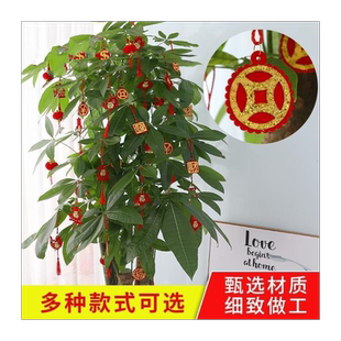 挂树上的小红包盆景盆栽挂件新年春节发财树挂绳红包挂饰装饰布置