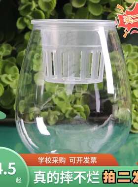 亚克力花瓶仿玻璃瓶子绿植插花插花瓶透明塑料防摔器皿水培花盆