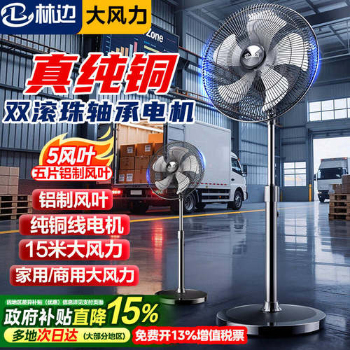 林边铜线电机工业落地风扇大风力