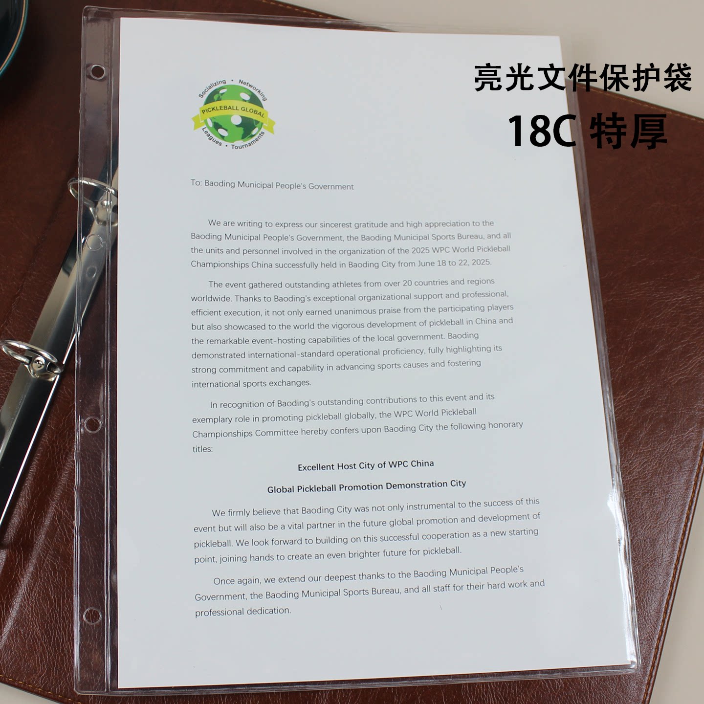 霓浩a4活页袋 资料袋 文件夹 透明文件保护袋 11孔 4孔通用文件袋 加厚透明档案袋 证书文件收纳袋 收藏袋