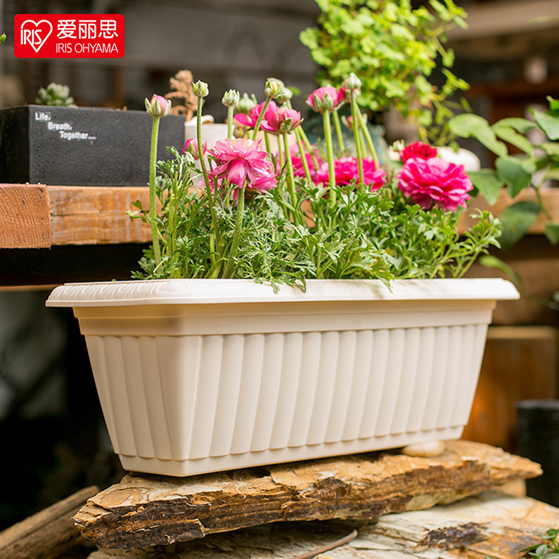 爱丽思长方形浮雕花盆阳台种菜盆多肉植物大号口径室内爱丽丝花盆