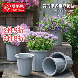 爱丽思多棱形长钵花盆月季绣球三角梅阳台加厚树脂种植盆爱丽丝盆