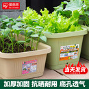 爱丽思长方形花盆大号塑料阳台种菜盆蔬菜种菜专用箱种植箱爱丽丝