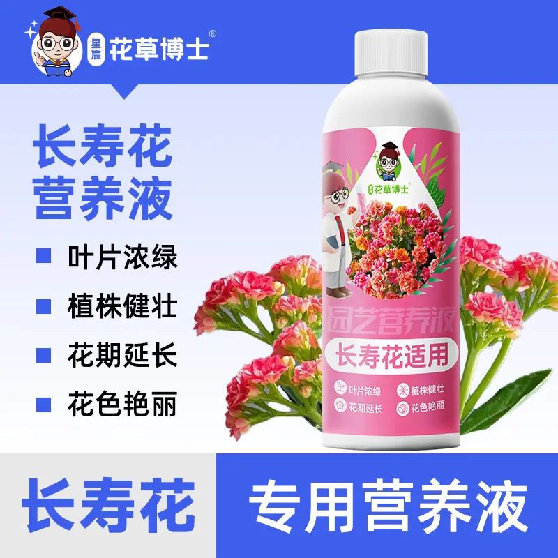 星宸花草博士长寿花适用营养液花期延长花色艳丽