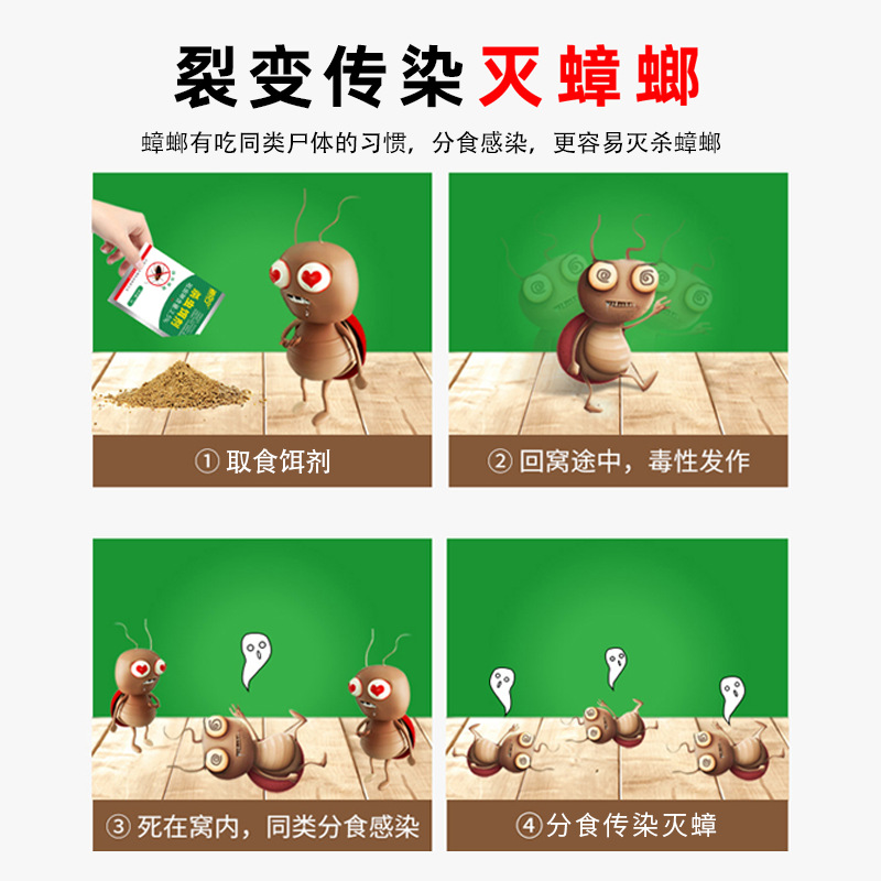 蟑螂药家用酒店宾馆杀蟑颗粒粉剂灭杀蟑螂饵剂可蟑螂药WP20150011