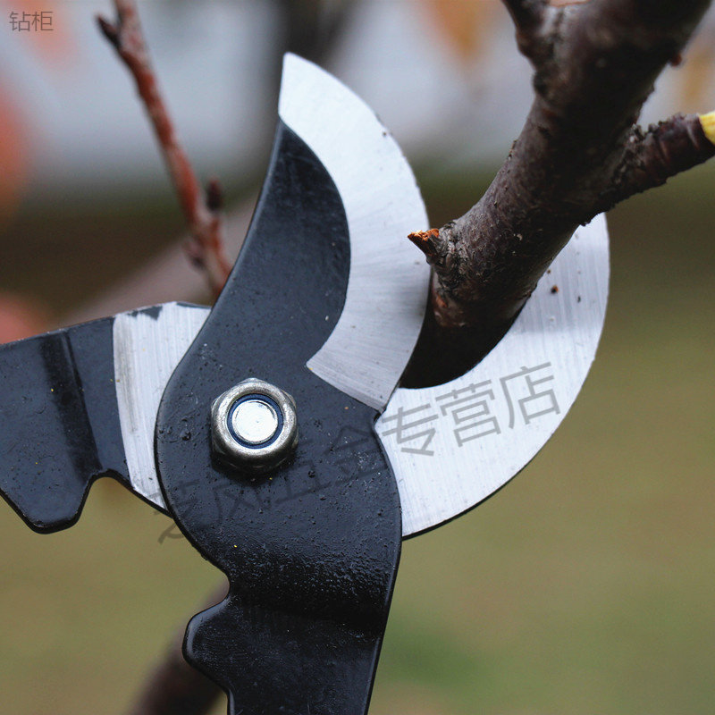 园艺剪枝剪刀修枝剪果树不锈钢园林花艺剪子工具修剪树枝剪刀花剪_虎窝淘