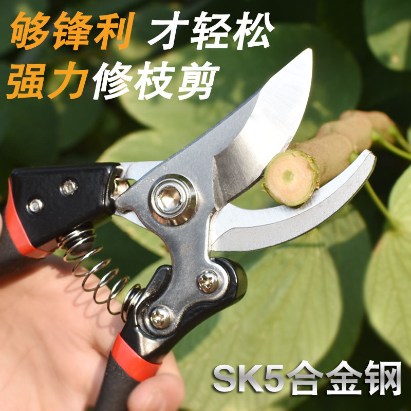 园林剪刀修枝剪树枝果树剪刀