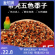 鹦鹉饲料鸟粮带壳谷子小米鸟食玄凤虎皮牡丹专用五色黍子5斤粮食