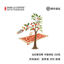 滇潞 全红果日晒 云南保山小粒咖啡 精品 阿拉比卡 手冲单品 250g