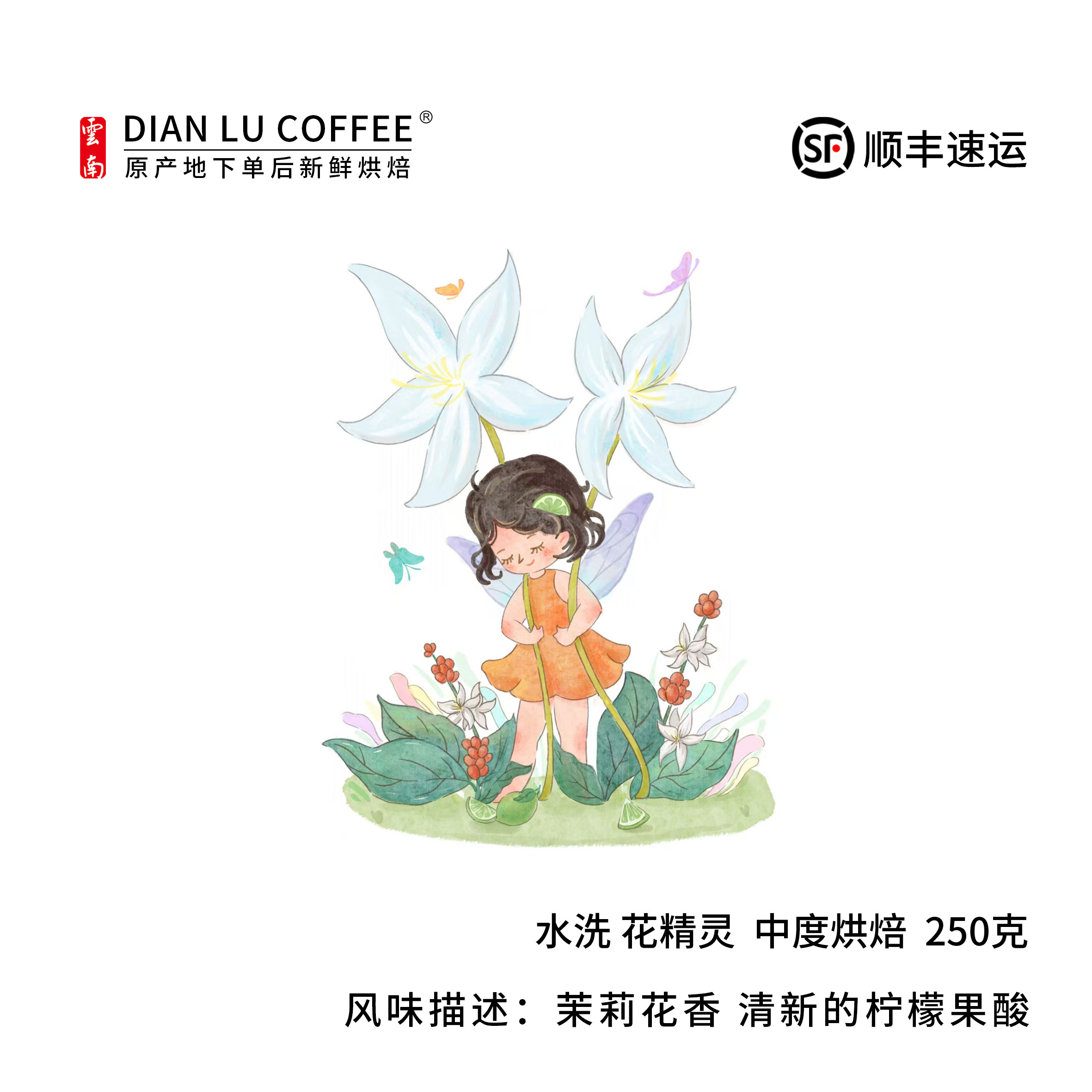 咖啡花香 柠檬果酸 清新明亮带有活力