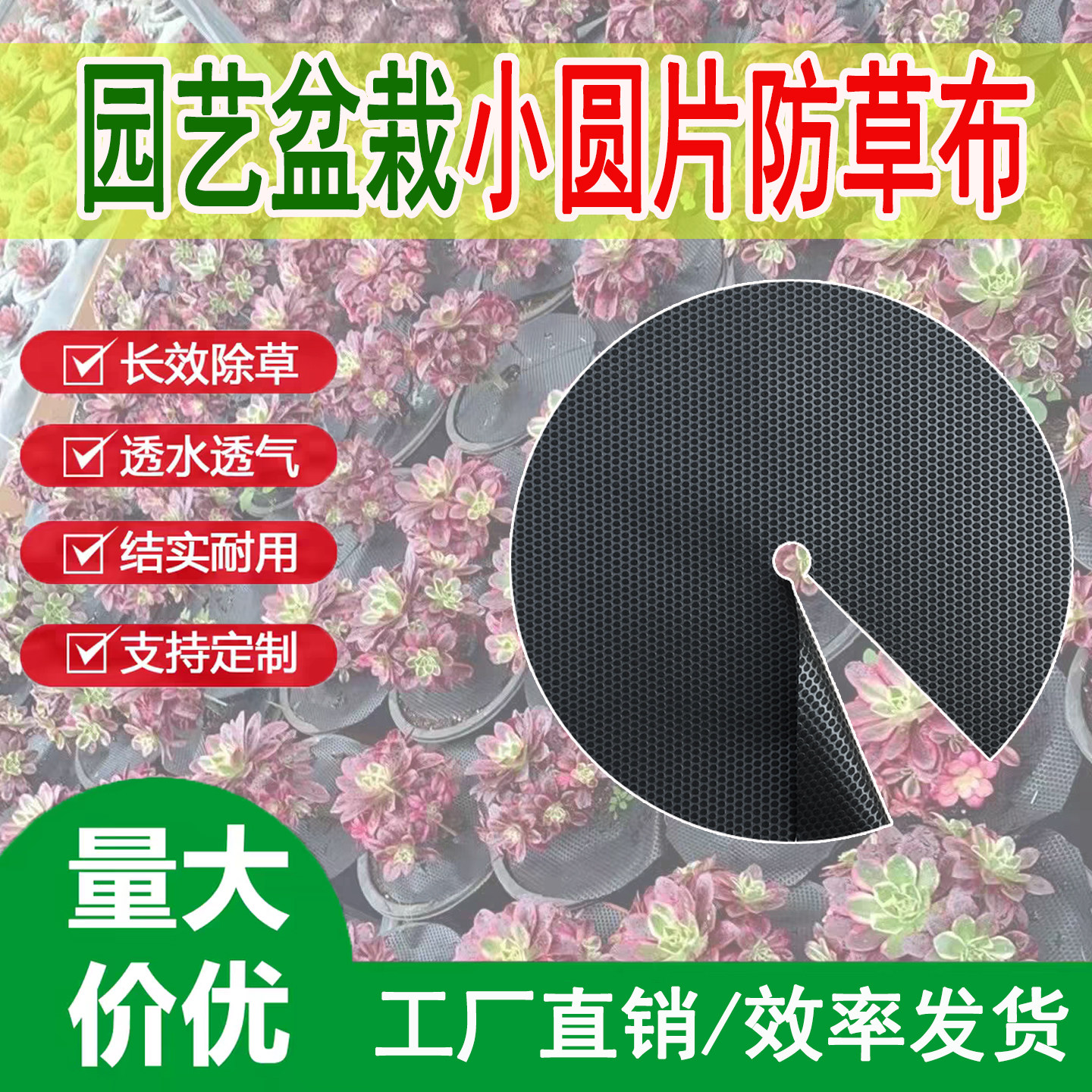 圆片防草布透气透水防草不闷