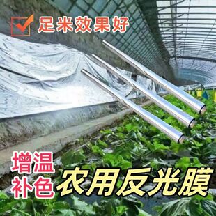 反光膜大棚用果树专用反光幕增温上补色纸着地膜蔬菜花卉温室挂墙