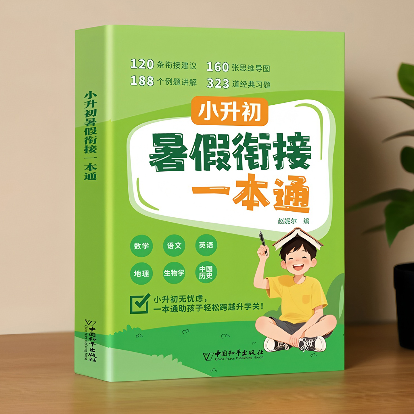 小升初暑假衔接一本通人教版