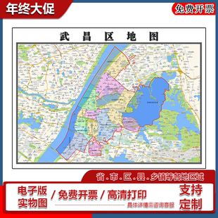 武昌区地图90cm办公室装饰画湖北省武汉市区域颜色划分高清新款