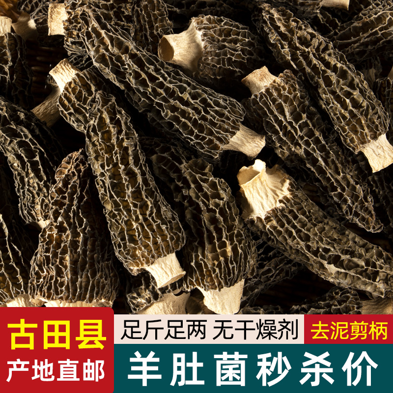 吉美味古田特产羊肚菌干货精选煲汤农家滋补养生商用家用火锅食材