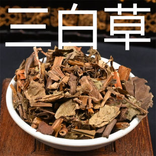 三白草 中药材三白草全草莲水木通塘边藕百节藕白花三白草非野生