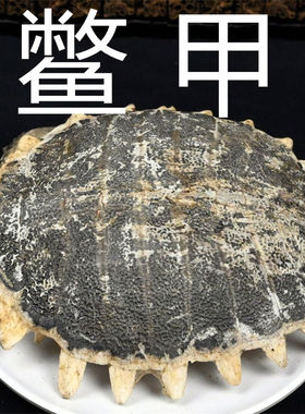 鳖甲 中药材生鳖甲 甲鱼龟壳盖子干货另有龟板非野生可打鳖甲粉