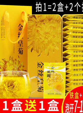 新疆包邮菊花茶金丝皇菊一朵一杯特大朵级黄花黄山菊花茶贡菊铁盒