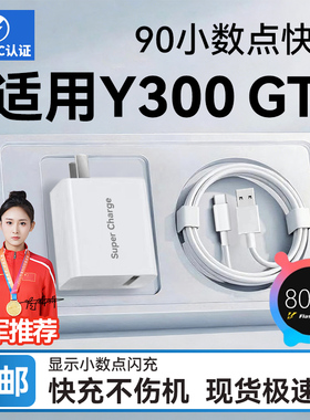 HANG适用VIVOY300GT充电器90超级闪充vivo手机y300gt充电插头vivoy300gt加长2米数据线闪充套装Type-C快充头