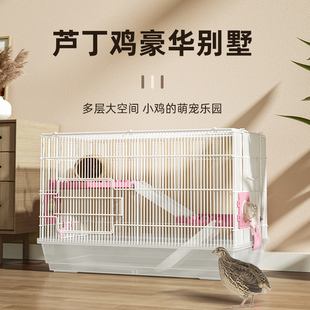 芦丁鸡专用笼子饲养箱鸭子幼鸡小鸡育雏养殖笼鹌鹑卢丁鸡家用大号