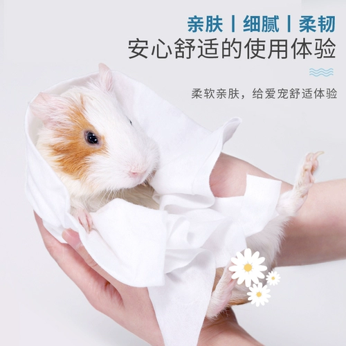Продукты хомяка бани полотенца кролики попугай Тотона Голландская свинья Трехночная серебряная лиса рис медведь золото золотой шелковый медведь бесплатно после ванной комнаты в ванной комнате