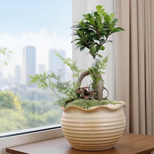 粗陶大号口径多肉植物花盆老桩陶罐复古透气肉肉绿植盆栽陶瓷花盆