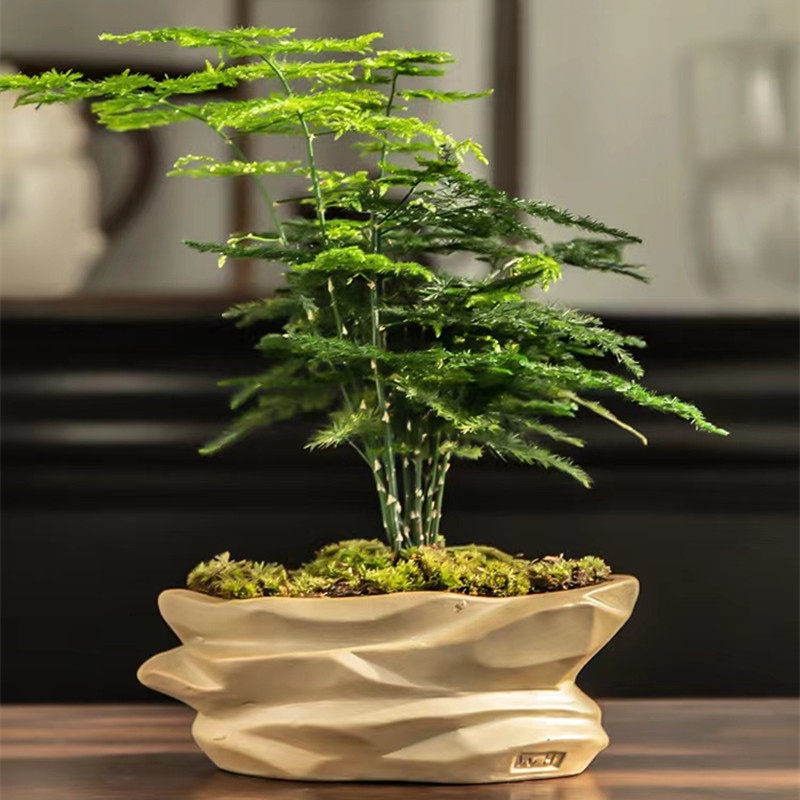 粗陶石头多肉植物陶瓷花盆复古简约新款特价盆肉肉植物简约有孔,鲜花速递/花卉仿真/绿植园艺,花盆,淘宝优惠券,粉丝福利购,淘宝优惠卷