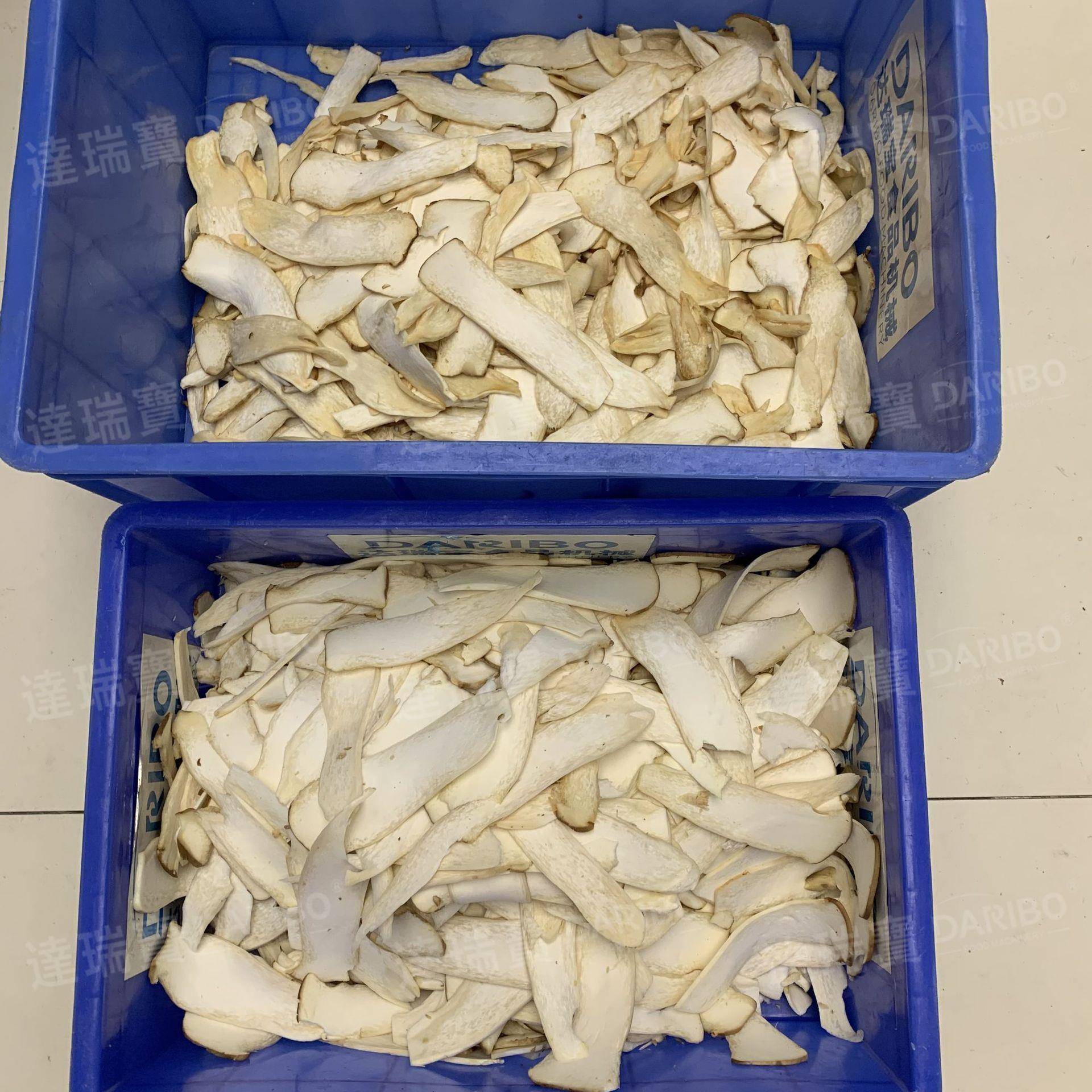 A黄金鲍螺切片机 海螺鲜肉切片机 可横切杏鲍菇薄片速度快产量大